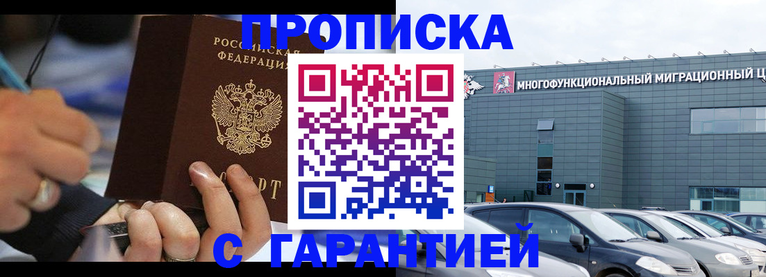 прописка для школы в Купино